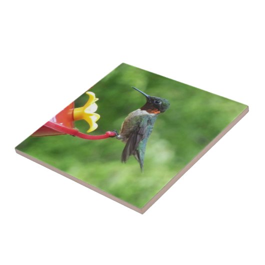 Fotografie met ruby-Throated Hummingbird Tegeltje (Zijkant)