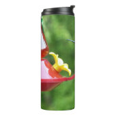 Fotografie met ruby-Throated Hummingbird Thermosbeker (Gedraaid links)