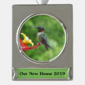 Fotografie met ruby-Throated Hummingbird Verzilverd Banner Ornament (Voorkant)