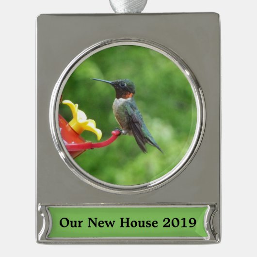 Fotografie met ruby-Throated Hummingbird Verzilverd Banner Ornament (Voorkant)