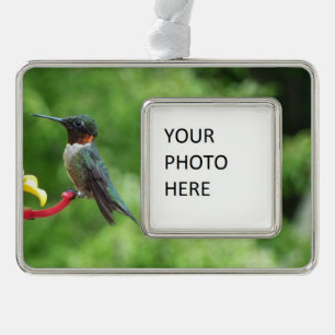 Fotografie met ruby-Throated Hummingbird Verzilverd Omlijst Ornament