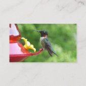 Fotografie met ruby-Throated Hummingbird Visitekaartje (Achterkant)