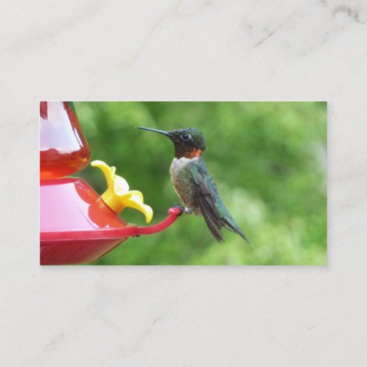 Fotografie met ruby-Throated Hummingbird Visitekaartje (Achterkant)