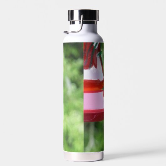 Fotografie met ruby-Throated Hummingbird Waterfles (Rechts)