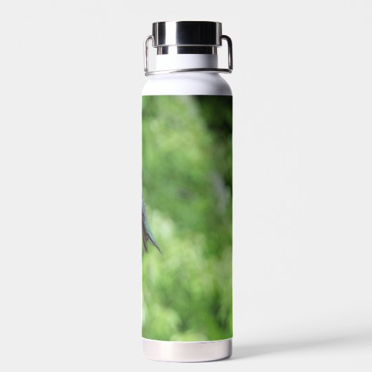 Fotografie met ruby-Throated Hummingbird Waterfles (Achterkant)