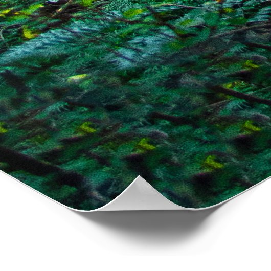 Fotografie Natuur boslicht Poster (Hoek)