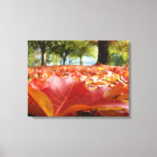 Fotografie natuur wanddecoratie herfstbladeren roo