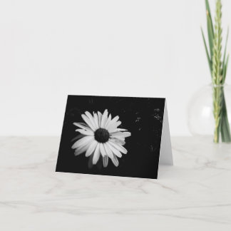 Fotografie Notecards Kaart
