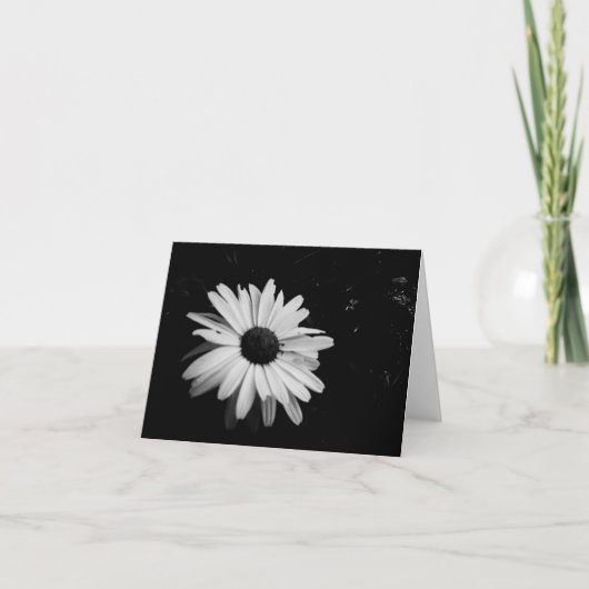 Fotografie Notecards Kaart (Voorkant)