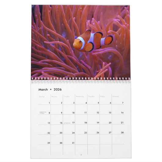 Fotografie onderwater kalender (Mar 2026)