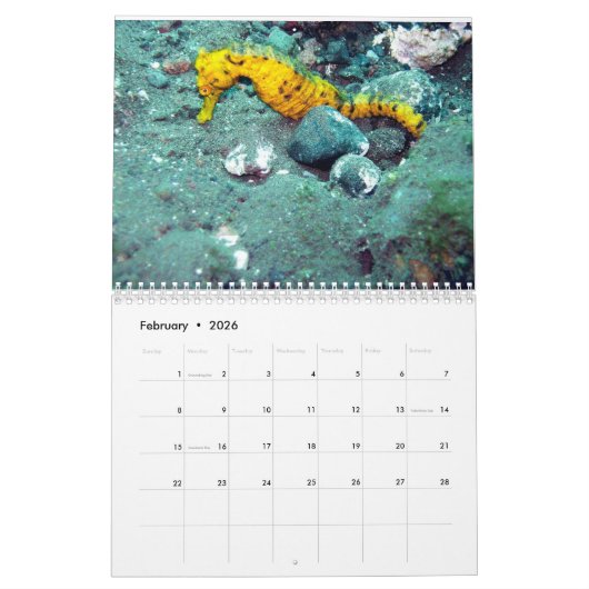 Fotografie onderwater kalender (Feb 2026)