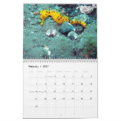 Fotografie onderwater kalender (Feb 2027)