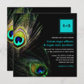 Fotografie Peacock Feathers Foto Weduwschap 2 Kaart (Voorkant / Achterkant)