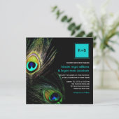 Fotografie Peacock Feathers Foto Weduwschap 2 Kaart (Staand voorkant)