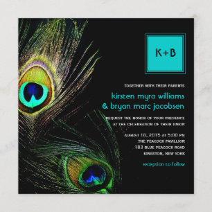 Fotografie Peacock Feathers Foto Weduwschap 2 Kaart