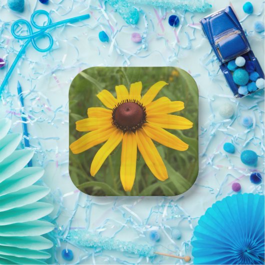 Fotografie Picnic Papieren Bordje (Feest)