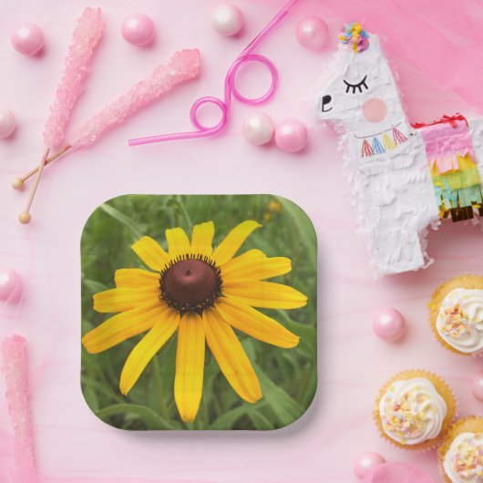 Fotografie Picnic Papieren Bordje (Feest)