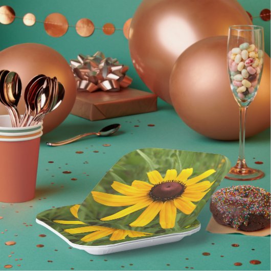 Fotografie Picnic Papieren Bordje (Multi)