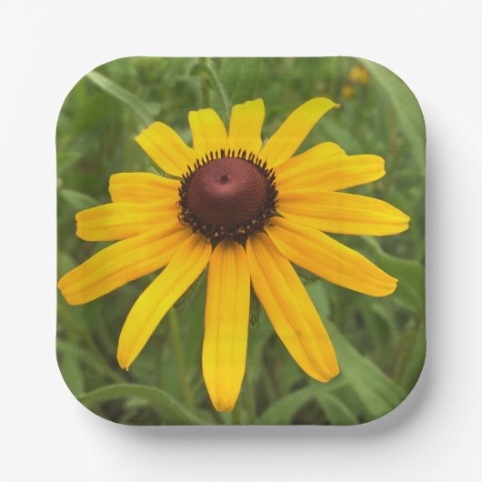 Fotografie Picnic Papieren Bordje (Voorkant)