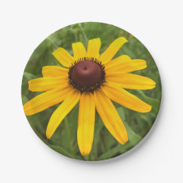 Fotografie Picnic Papieren Bordje