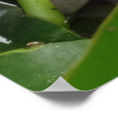 Fotografie-Poster wakker maken Poster (Hoek)