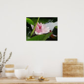 Fotografie-Poster wakker maken Poster (Keuken)