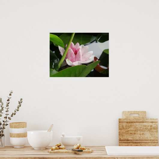 Fotografie-Poster wakker maken Poster (Keuken)