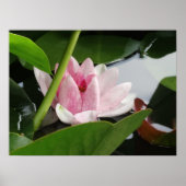 Fotografie-Poster wakker maken Poster (Voorkant)