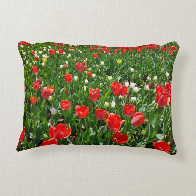 Fotografie rode Tulp Flower Field Natuur Accent Kussen (Achterkant)