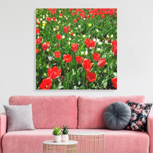 Fotografie rode Tulp Flower Field Natuur Canvas Afdruk