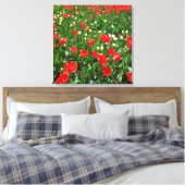 Fotografie rode Tulp Flower Field Natuur Canvas Afdruk (Insitu (Slaapkamer))