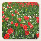 Fotografie rode Tulp Flower Field Natuur Kartonnen Onderzetters (Voorkant)
