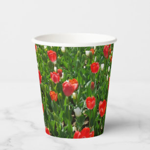 Fotografie rode Tulp Flower Field Natuur Papieren Bekers