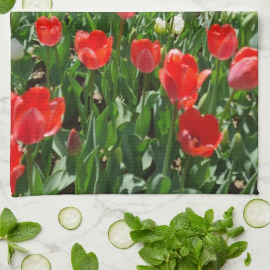 Fotografie rode Tulp Flower Field Natuur Theedoek (Gevouwen)