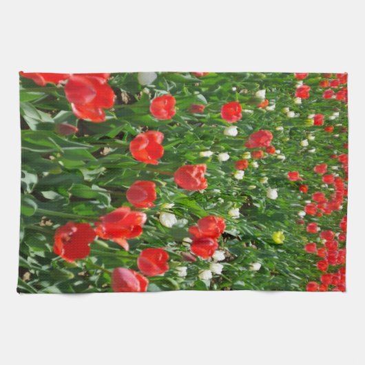 Fotografie rode Tulp Flower Field Natuur Theedoek (Horizontaal)