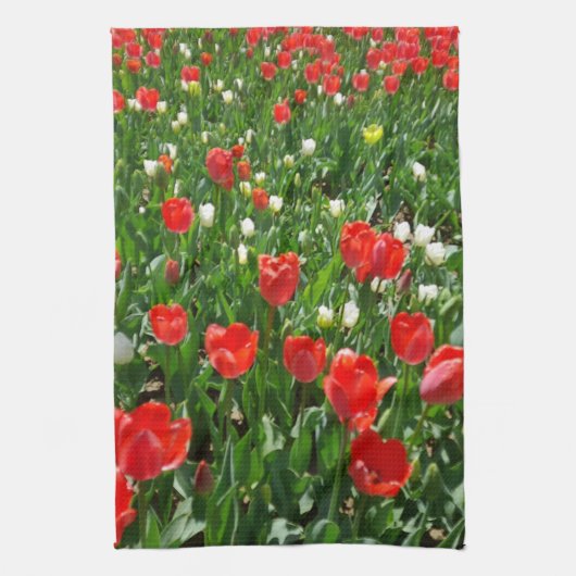Fotografie rode Tulp Flower Field Natuur Theedoek (Verticaal)