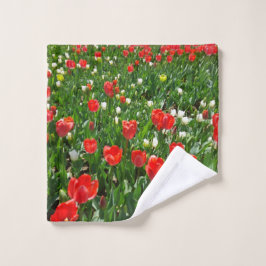 Fotografie rode Tulp Flower Field Natuur Washandje