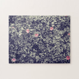  fotografie Roze Hibiscus Flowers Floral Legpuzzel