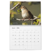 Fotografie Songbird 2019 Kalender (Mar 2026)