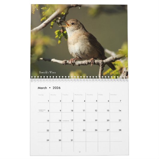 Fotografie Songbird 2019 Kalender (Mar 2026)