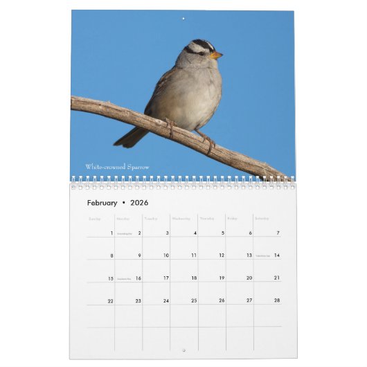 Fotografie Songbird 2019 Kalender (Feb 2026)