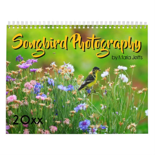 Fotografie Songbird 2019 Kalender (Hoes)