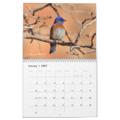 Fotografie Songbird 2019 Kalender (Jan 2027)