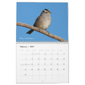 Fotografie Songbird 2019 Kalender (Feb 2027)