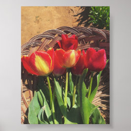  Fotografie - Tulp Boerderij Basket Poster
