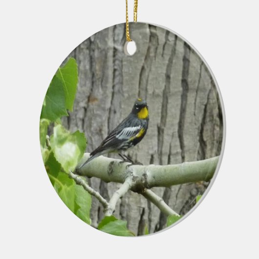 Fotografie van Audubon's Warbler-Natuur Keramisch Ornament (Links)