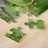 Fotografie van Audubon's Warbler-Natuur Legpuzzel (Zijkant)