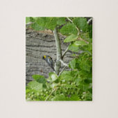 Fotografie van Audubon's Warbler-Natuur Legpuzzel (Verticaal)