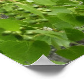 Fotografie van Audubon's Warbler-Natuur Poster (Hoek)