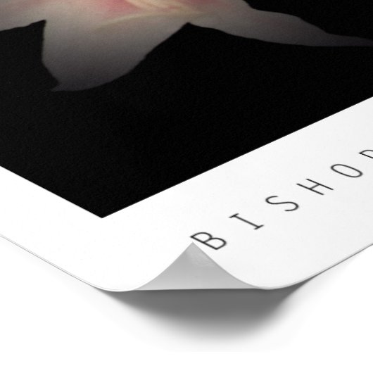 Fotografie van bisschop poster (Hoek)